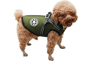 RarSSA Hundemantel Wasserdicht, Warme Winter Hundejacke mit Geschirr, Hund Wintermantel für Kleine Mittel GroÃŸe Hunde, Chihuahua Labrador Französische Bulldogge Mantel