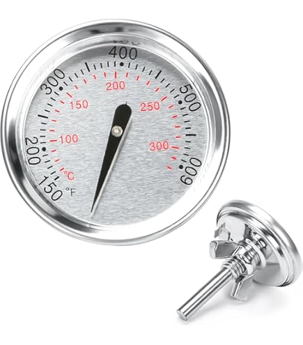Thermomètre Barbecue En Inox - Compatible Weber Q120, Q220, Spirit 200/300, Séries Genesis, Charbon