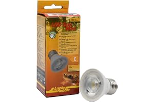Lucky Reptile LED Sun Mini 5 Watt - Mini LED Spotstrahler för E27-socklar - Terrariumlampa med imponerande ljusstyrka - Lampa för terrarier - Terrariumbelysning 1 styck
