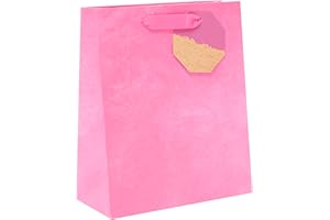 UK Greetings | Medium Gift Bag for Her/Friend | Party Bags for Presents | Birthdays/Weddings/Congratulations/Christmas/New Year | Pink Design | 19 x 23 x 8.9 cm
