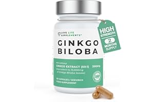 Ginkgo Biloba Capsules High Strength | 15,000mg 50:1 Extract (from Ginkgo Biloba Leaves) - 60 Servings | 24% Flavone Glycosides (3rd Party Tested) | Pure Ginkgo (No Fillers) | Love Life Supplements