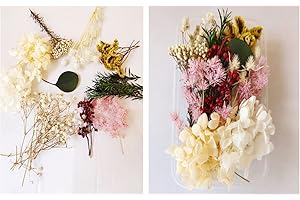 GANMFOYC 10 models Real Dried Flowers Leaves Multicolored Pressed Flowers for DIY Candle Resin Jewelry Nail Pendant Crafts Making Art Floral Decorations (Bai Xue Yingchun)