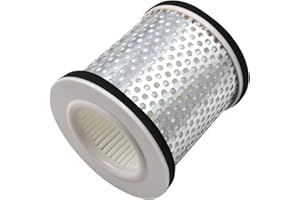 TONGTONG AHL 4BR-14451-00-00 1AE-14451-00-00 Filtre à air de moto pour YAMAHA XJ600 Diversion SN 1992-2003/ XJ900 S Diversion 1994-2003