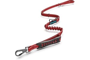 Iokheira Correa elástica para perros, fuerte y absorbente, con 2 cómodas asas acolchadas, hebilla para el cinturón de seguridad del coche, cuerda ajustable para perros pequeños, medianos y grandes