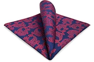 S&W SHLAX&WING Pañuelo de Bolsillo para Hombres Variado Paisley para Chaqueta de Traje Negocios XL