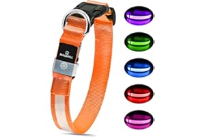 MASBRILL Collare Luminoso per Cani, Collare Cane LED Ricaricabile e Impermeabile, 3 Modalità d'ardore e Misura Regolabile Adatto per Cani di Taglia Piccola Media Grande, Arancione S