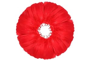 MWOOT 600 Piezas Plumas Rojo, Plumas Artesanales para Atrapasueños Bricolaje, Disfraz Halloween, Pendiente Hecho Mano, Fiesta Bodas, Decoración Actividades Hogar Pascua, Pluma Natural 8-12CM
