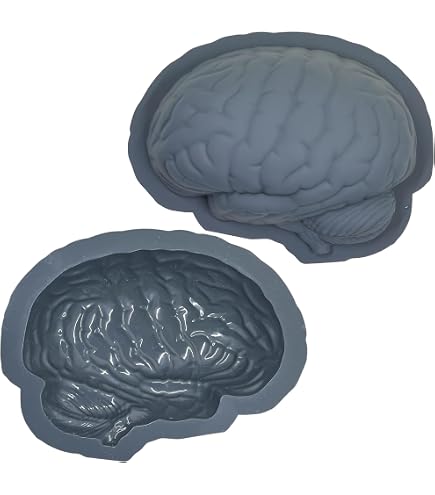 Moule Silicone En Forme De Cœur Cerveau Humain 3D - Pour Chocolat, Savon, Résine - 16.3x12.9cm - 2