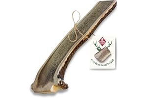 ChronoBalance-L Bois de Cerf pour Chien, Lot de 1, Coupé en Deux, Snack 100% Naturel, Soin Dentaire, Jouet pour Chiens, Os sans Produits Chimiques