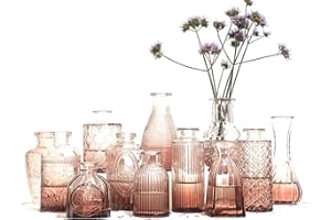 TEMPFOO 12 Pz Vaso Decorativo da Interno Fiori Vasetti Vetro Decorativi Trasparente Mini Vasi Soprammobili Moderni Cristallo Design Centrotavola per Matrimonio Centro Tavola Singolo Piante Balcone Accessori