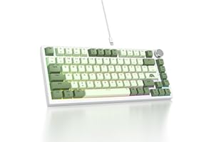 SOLIDEE Wired 75% Mechanical Gaming Keyboard Hot Swappable,Red Switch RGB Backlit keyboard,82 Keys TKL Mechanical Keyboard,PBT Keycaps NKRO Compact Keyboard with Volume Control Knob(82 Matcha)