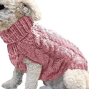 toy dog clothes
