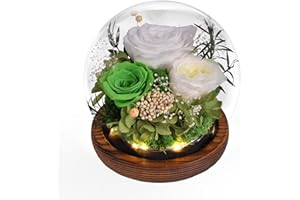 Beinhome Rosa Stabilizzata Vera Rose Eterne Fiori Fatto a Mano in Vetro con Luci LED Regali per Lei Donna Mamma Nonna Fidanzata, per San Valentino Festa della Mamma Compleanno Ringraziamento Natale