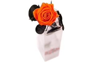Rosen-Te-Amo | Infinity Rose Orange am Stiel - Rosenduft |Echte Rose Geburtstagsgeschenk für Frauen, Ewige Rose in Geschenkbox| Konservierte Blume zum Weihnachten, Valentinstag, Mama, Deko Geschenk