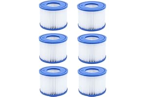 GAODA VI Lot de 6 cartouches filtrantes pour Bestway piscine Flowclear Filtre de rechange pour Lay-Z-Spa