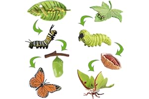IFTNOTEA 8PCS Monarch Butterflies Life Cycle Toy Figurines for Kids with Actias Ningpoana Figure - Caterpillar to Butterfly Kit Growth Montessori Toy for 3 4 5 6 Years Old