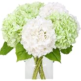 JUSTYOU Artificial Hydrangea Flowers, 4 Pcs Realistic Double Color Long Stems (19.6inch) Fake Hydrangea Bouquets for Wedding