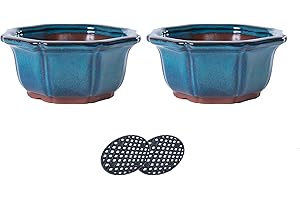 Jinfa 2 Macetas de cerámica esmaltada Bonsai con Agujeros de Drenaje + 2 Rejillas de Filtro | Turquesa