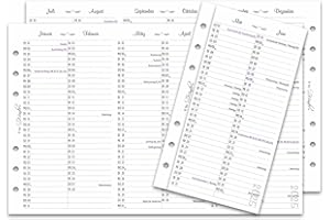 SinnWunder® 2025 Jahresübersicht Größe Personal – Stabile Kalendereinlage zum Ausklappen - Jahreskalender - Leporello - 6-fach Ringbuch-Lochung
