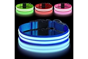 AUAUY Świecąca obroża dla psa LED, podwójna taśma świetlna, port typu C, regulowana szyta, z klamrą D-Ring, wodoodporna, migająca obroża dla psa, dla dużych psów, niebieska, L