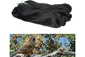 Liwein Filet de Protection Anti-Oiseaux (5x10m) - Noir, Robuste pour Volière, Jardin, Plantes, Étangs, Fruits, Légumes - Maille Carrée 2,5cm