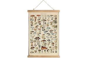 XIAOAIKA Poster vintage champignon suspendu avec cadre en bois, décoration murale de style rétro, motifs imprimés sur lin sans décoloration, prêt à accrocher (50 x 75 cm)