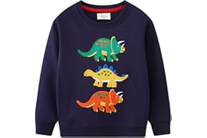 DHASIUE Kids Boys Dinosaur Sweatshirt Jumper T-Shirt Cute Long Sleeve Tops Casual Cotton Tee Shirts Toddler Clothes Age 1-7 Years