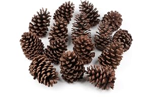 Larber 12 conos de pino grandes, piñas de 8 a 12 cm, conos de abeto para manualidades, árbol de Navidad, relleno de jarrón, decoraciones de invierno (sin perfume)