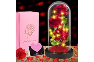ENCOUN Rosa Eterna, Rosa Bella y Bestia, Rosa Eterna en Cúpula Cristal con Luz LED, Rosas Eterna Natural Preservada, Flor Eternas Regalo para Aniversario, Día de San Valentín, Día de la Madre