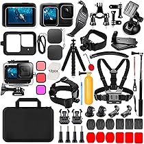 Gopro Chargeur de batterie double et 2 batteries Enduro (HERO13 Black