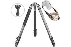 INNOREL ST324CF Trípode de Fibra de Carbono Altura máxima 160 cm Carga máxima 20 kg Diámetro del Tubo 32 mm Soporte Profesional para Cámara de Observación de Aves con Adaptador de Tazón de 58 mm