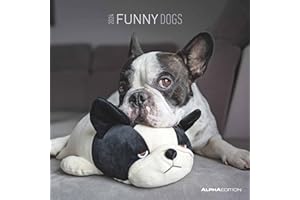 ALPHA-EDITION Alpha Edition Calendario 2024 da muro FUNNY DOGS, 12 mesi, 30x30 cm