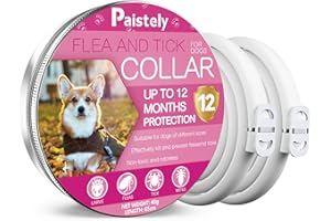 PAISTELY Collare Antiparassitario Per Cani, Cane Sicuro Ed Efficace Composto Da Oli Essenziali Naturali Al 100%, Efficacia 12 Mesi 65cm Collare Antizecche Per Cani Per Cani Di Tutte Le Taglie (2 pcs)