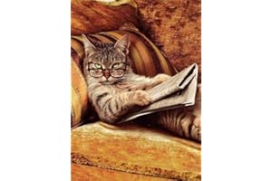 SYMON Juego de punto de cruz preimpreso, lectura de gato, 11 ct, punto de cruz preimpreso, para decoración del hogar, 40 x 50 cm