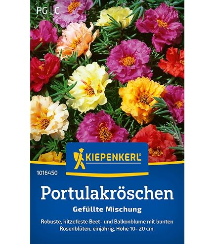 Stk - 5x Microgramma lycopodioides Farn Garten Pflanzen - Samen B2170 -  Seeds & Plants Shop by Ipsa : Amazon.de: Garten