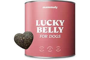 mammaly Probiotika für Deinen Hund - Lucky Belly 110 Drops (325g) - Bei Magenprobleme & Verdauungsprobleme für Magen-Darm, Verdauungssnacks bei Gras fressen & Kotfresser Leckerlies mit Huhn