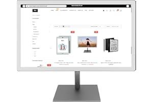 Bigme B251-World's 1st E Ink Color Monitor z ekranem eink 64.3 cm