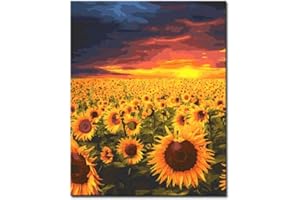 NUOYAYA Kit Punto a Croce 11CT Kit Punto Croce Ricamo Prestampato per Principianti Adulti Cucito a Mano Cross Stitch Embroidery Starter Kit per Decorazione Domestica - girasoli al tramonto 40x50cm