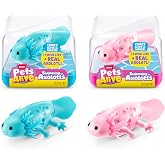 Pets Alive Y&uuml;zme Robo Axolotl (2'li Paket) ZURU
