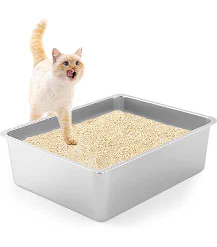 Suhaco Kattenbak met hoge zijkanten, grote open bovenkant, diepe ingang, spatwaterdicht, hoge zijkanten, 49 x 42 x 22 cm, kattenbak (groen