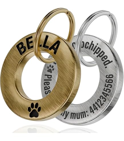 Walking Dead Season 2 Dog Tag, Stick & Carabiner Pack [Random