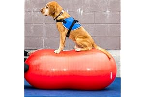Ball Dynamics Int. LLC FitPAWS Balle d'Equilibre Forme Cacahuète avec Boîte Commerciale/Pompe/DVD d'Instruction pour Chien Jaune 70 cm