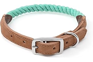 Mile High Life Obroża dla psa z liny linowej | trwałe plecione obroże z liny bawełnianej | Obroża dla psa z prawdziwej skóry z metalową klamrą | klasyczne obroże dla średnich psów (zielona)