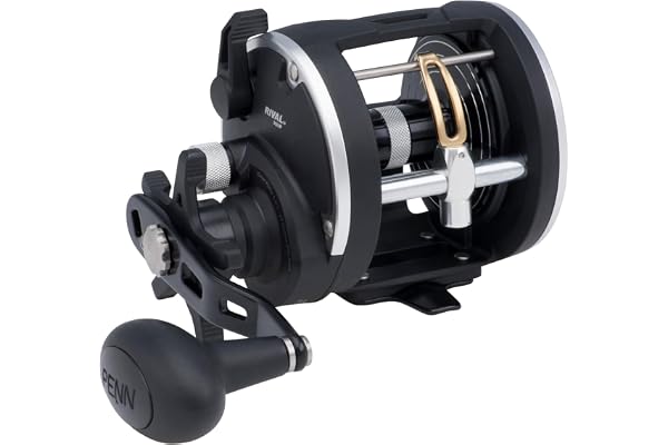 PENN Rival Level Wind Moulinet à Tambour Tournant pour Pêche Lourde en Mer, au Jig, sur Épave - Lieu, Pagre, Denti, Sériole, Requin