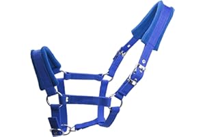 PALETUR0 Capezza da Cavallo Attrezzatura da Equitazione Staccabile Pile Sportivo Imbottito per Esterno Pratico Cinturino Regolabile Protettivo Doppio Strato Addensare Taglie Multiple Accessori durevoli(LBlu)