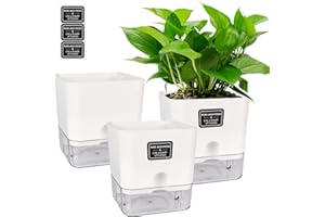 NIZIRIOO 3 szt. samonawadniająca doniczka pod doniczkę, wizualne okienko poziomu wody, doniczki na rośliny, doniczki na zioła, do kuchni, samonawadniająca się doniczka z tworzywa sztucznego, pojemnik na rośliny, pojemnik na rośliny, do użytku wewnątrz i na zewnątrz