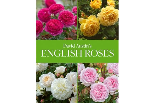 English Roses