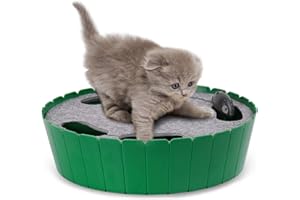 Pawaboo Jouet Souris pour Chat, Jouet pour Chat avec Souris Électroque, Jeu Chat Interactif Jouet Electronique Automatique, Vitesse Optionnelle, Solide et Durable pour Chat, Chariot Chaton - Vert