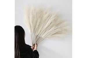 YiYa 12 Pcs Erba di Pampa Decorativa 113cm Decorazione Pampas Secca Grande Fiori Secchi Decorativi per Vaso per Soggiorno, Casa, Pavimento, Vaso, Decorazione Boemia (Beige-12pcs)
