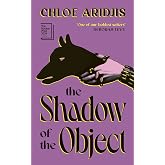 The Shadow of the Object